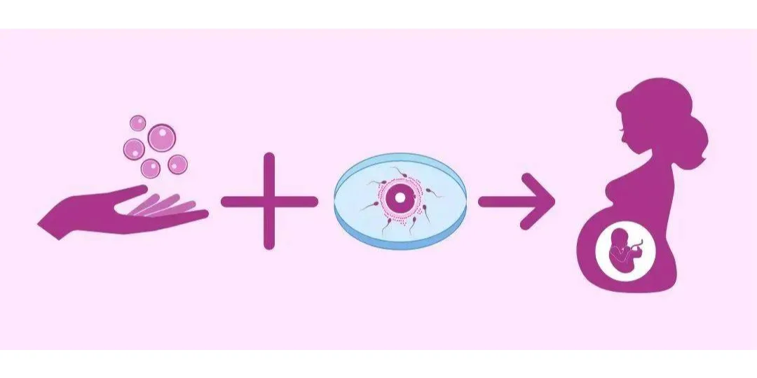 一代、二代、三代试管婴儿的 区别是什么？,高效代孕套餐