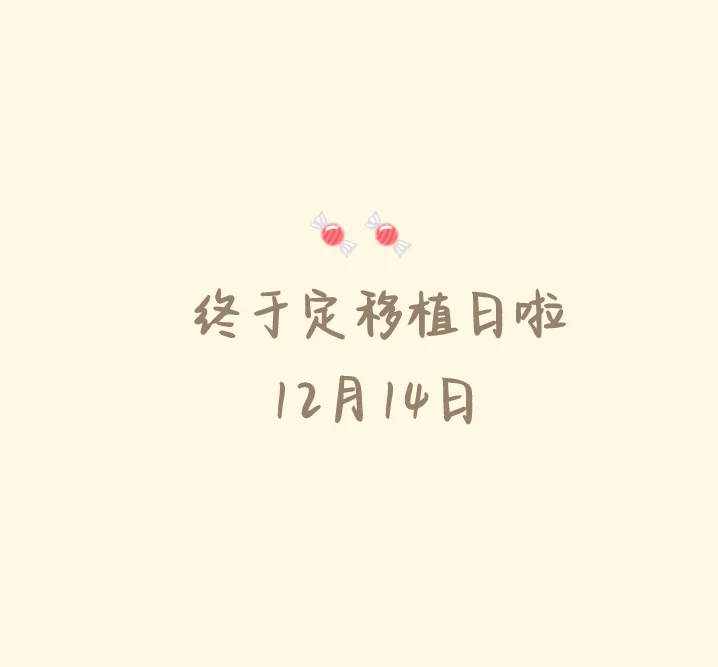 定移植日啦,国内借卵代生孩子,包成功包男孩代孕